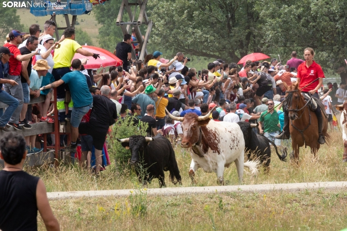 Una caída del caballo, un golpe de toro y traumatismos: La Saca finaliza con 17 atendidos en el Hospital