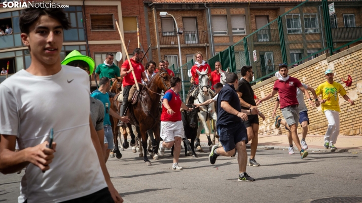 MEGAGALERÍA | Así ha sido La Saca 2024