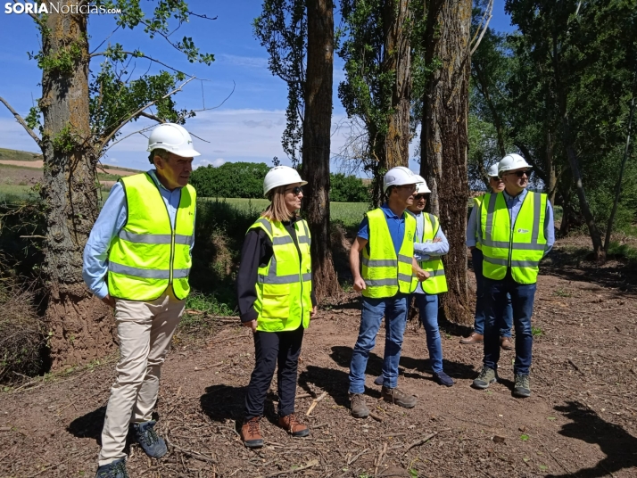 La CHD avanza en sus labores de limpieza del cauce del río en Peroniel del Campo