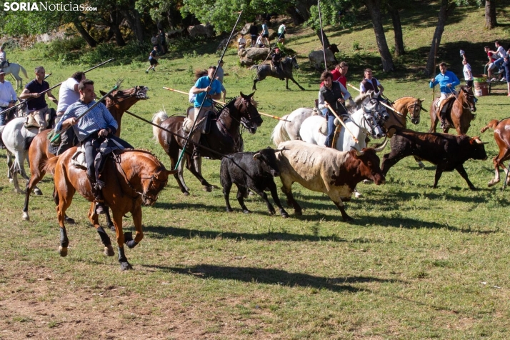 Diez novillos en una Comprilla que ha empezado de manera frenética