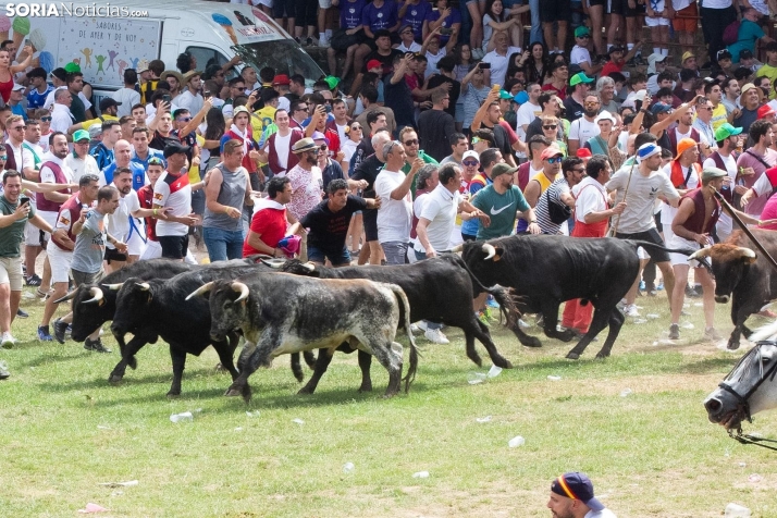 Vídeo | Limpia, rápida y, como siempre, histórica salida de La Saca 2024