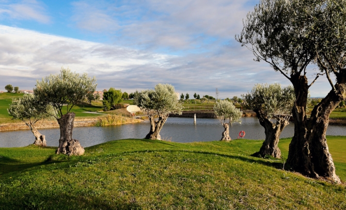 El Club de Golf Soria disputa el sábado el Campeonato Interclubes por Equipos Infantil, Alevín y Benjamín