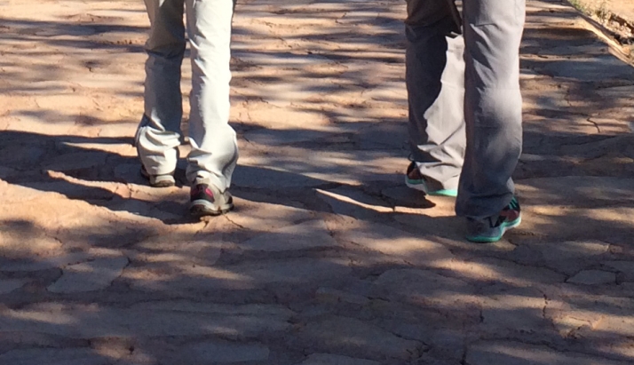 San Esteban y Villálvaro centran este jueves la jornada de la asociación soriana Amigos del Camino de Santiago