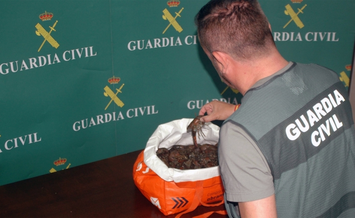 Un agente de la Guardia Civil con algunos de los ejemplares confiscados