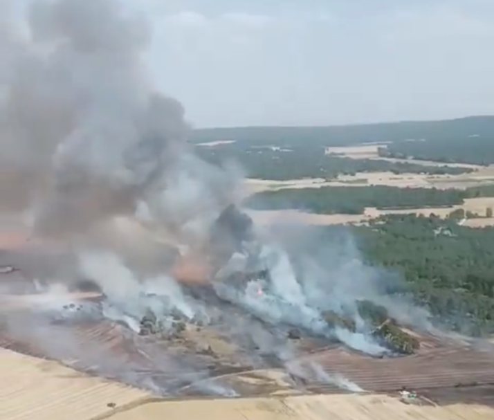 Controlado el incendio de Los Rábanos