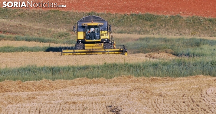 Castilla y León promoverá un nuevo enfoque de la política agraria, consensuado con el sector