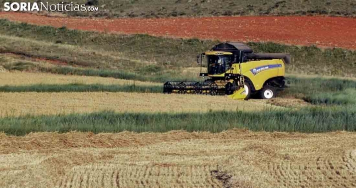 La Consejería de Agricultura prevé buenos resultados para la cosecha de cereal de invierno en Castilla y León