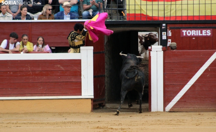 El premio al mejor toro de San Juan 2024, desierto