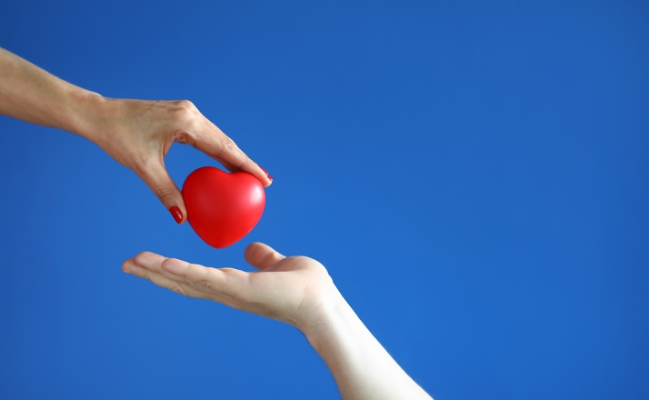 Soria sumó tres donaciones de órganos durante el primer semestre de 2024