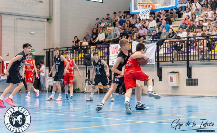 La cantera masculina del Soria Baloncesto jugará el próximo curso en la Primera División