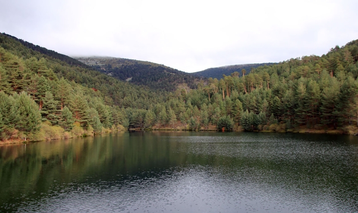 3,9 M€ en subvenciones regionales a 64 proyectos en las áreas de influencia socioeconómica de los parques de Picos de Europa y Sierra de Guadarrama
