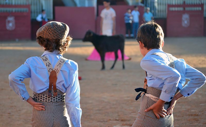 Castilla y León aprueba 26.000 € para el funcionamiento y la actividad de la Escuela de Tauromaquia de Salamanca