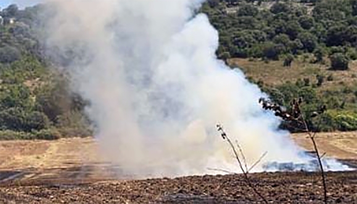Arden 5,6 hectáreas de terreno agrícola en Beratón