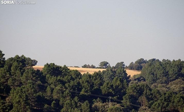Domingo con más calor y viento por la tarde