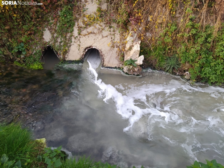 Ágreda y Ólvega buscan sin éxito a la empresa que ha contaminado el río Val