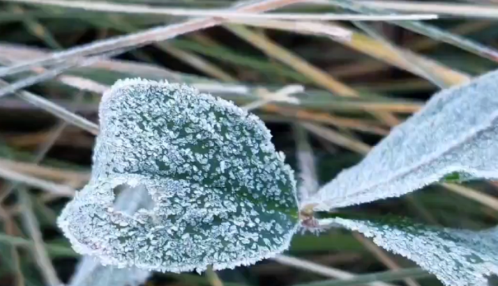 La semana más calurosa de lo que llevamos de verano comienza con heladas en la provincia