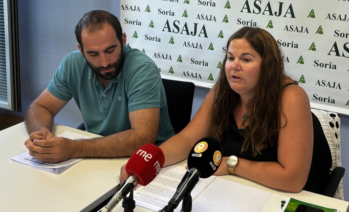 La cosecha de cereal, aceptable para ASAJA Soria