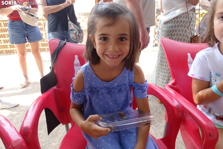 Cómo entrenar a tu caracol: trucos para ganar la carrera más lenta del verano