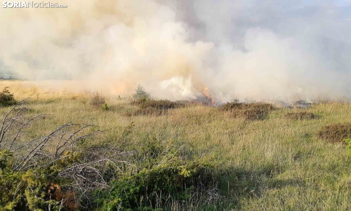 Arde una hectárea de terreno agrícola en Valdenarros