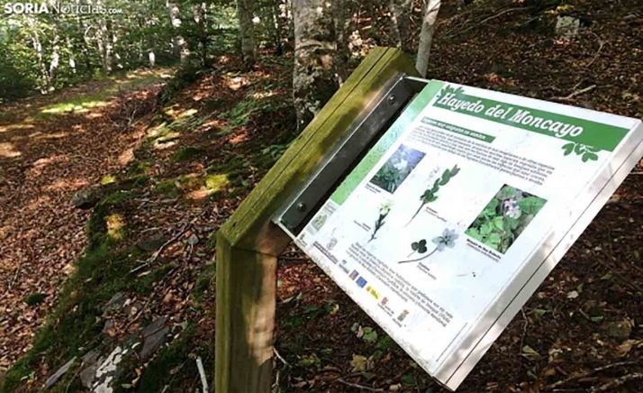 El martes, visita guiada a la Novena Parte del Moncayo