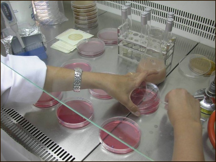 Castilla y León promueve la implantación de sensores en la producción de derivados cárnicos