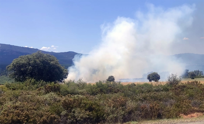 Arden 6.000 metros en La Olmeda