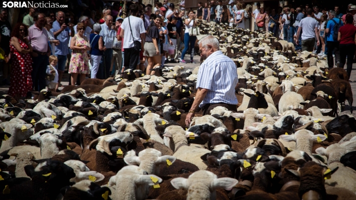 GALERÍA: Homenaje a los orígenes en el Mercado Tradicional de San Pedro