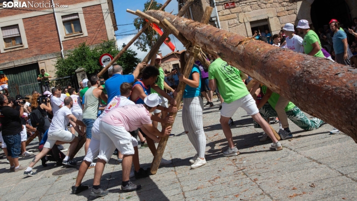 GALERÍA | Los visontinos pingan sus Mayos y dan comienzo a sus tan esperadas fiestas