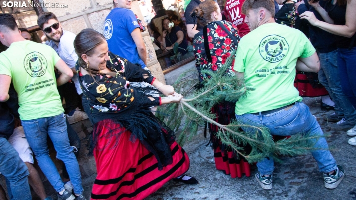 GALERÍA: La Pinochada enciende Vinuesa