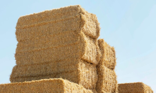 ¿Qué se puede hacer con una alpaca de paja?