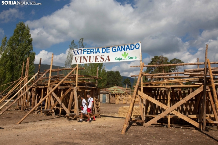 Este sábado, la feria ganadera de Vinuesa