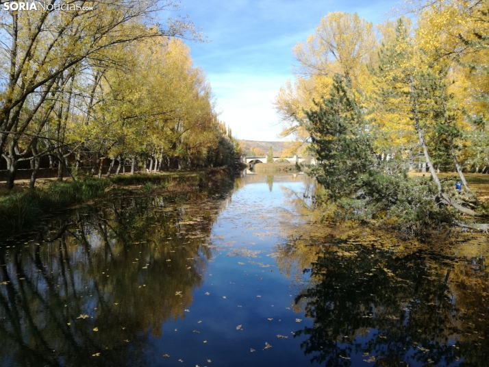 Un lunes de veranillo tras San Miguel en Soria
