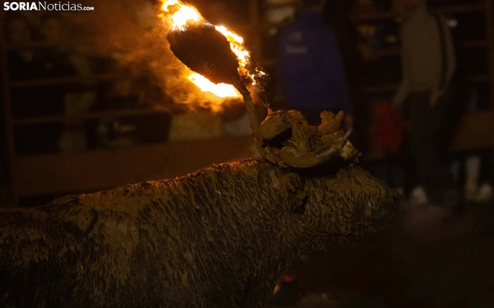 PACMA confía en la prohibición del toro Jubilo de Medinaceli