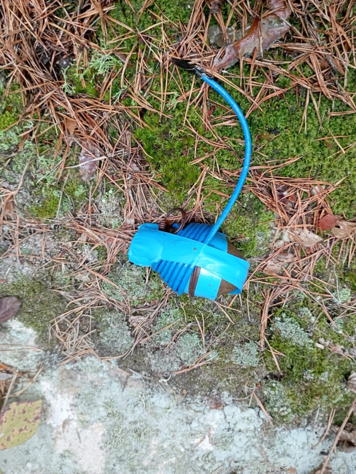 Detonada una granada que encontró un vecino de Zaragoza mientras buscaba setas en Duruelo de la Sierra