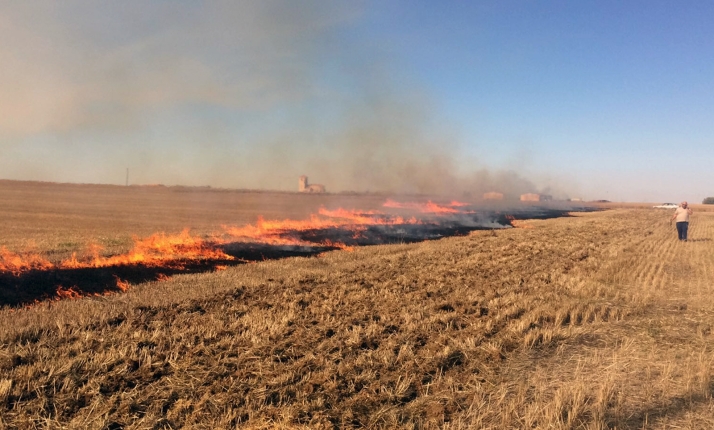 ASAJA insiste en las quemas controladas de rastrojos en Castilla y León por razones fitosanitarias