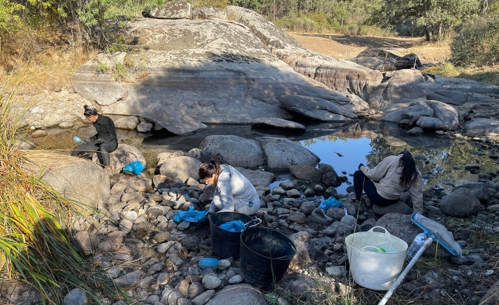 Cesefor participa en la retirada de vegetación invasora en ríos de Salamanca