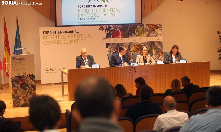 Los bosques de Castilla y León, a estudio en Soria: implantación de nuevas tecnologías, especies existentes y futuro