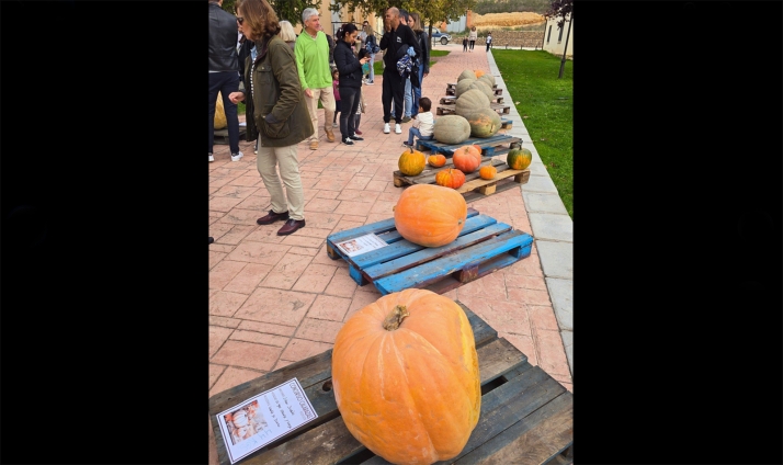 Una calabaza de 109 kilos se lleva el concurso de San Esteban