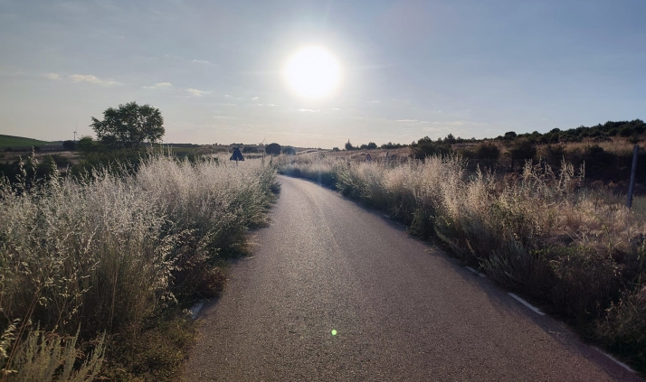 Los socialistas de la Diputación piden explicaciones sobre la limpieza de arcenes en las carreteras provinciales