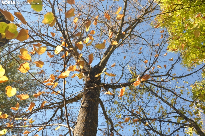 Vuelve la calma a la provincia con ascenso térmico para Todos los Santos