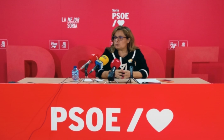 El PSOE ve sobrecoste en el proyecto Maderaula de la Diputación