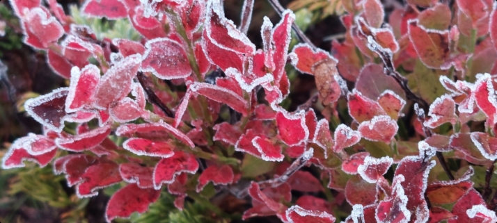Soria amanece congelada, pero las máximas irán en ascenso