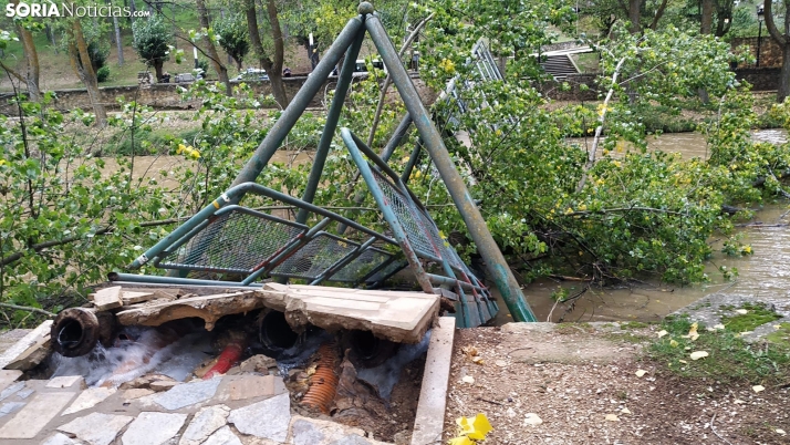 La caída de un árbol hunde una de las pasarelas del Duero