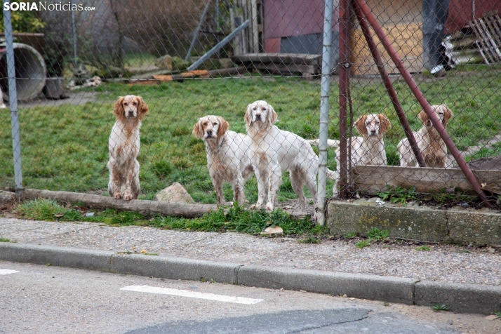 Caen las máximas y vuelven las nubes para estrenar octubre