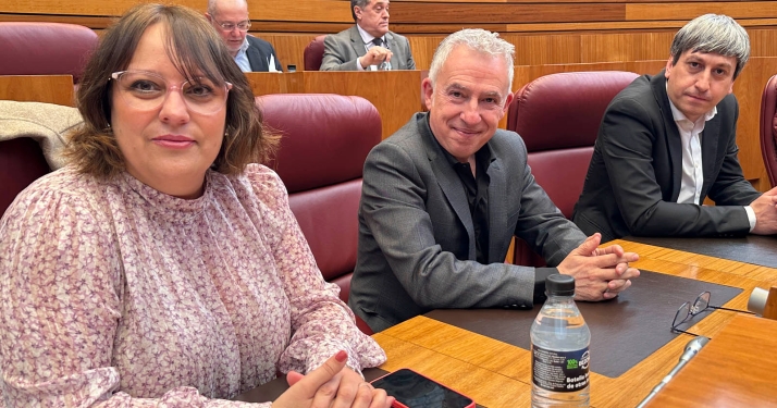 Soria ¡Ya! consigue el apoyo unánime de las Cortes para que el Gobierno agilice la variante conjunta de la N-234 por San Leonardo y Navaleno