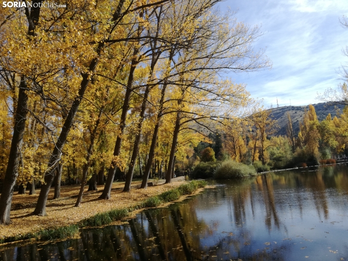Lunes de sol para iniciar la semana en Soria