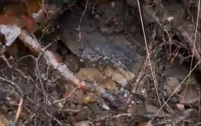 Este es el motivo por el que la tierra en Soria se ha puesto a respirar