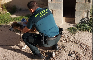 La Operación Can de la Guardia Civil contabiliza en Soria 67 denuncias administrativas de diferentes tipologías