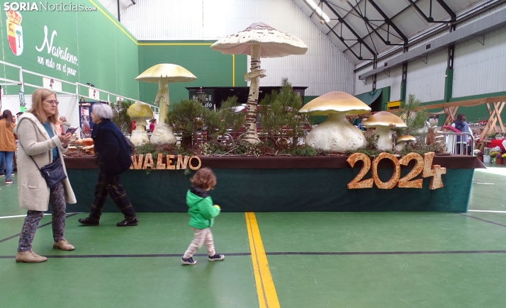 CRÓNICA Y FOTOS | Setas en Soria: Navaleno, epicentro del micoturismo