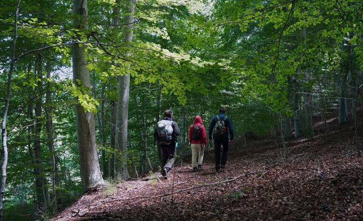La Mancomunidad de Tierras Altas relanza su turismo con una nueva web
